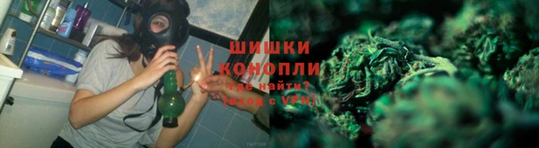 МДПВ Краснослободск