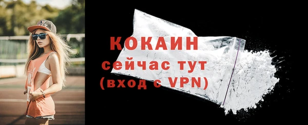 МДПВ Кукмор