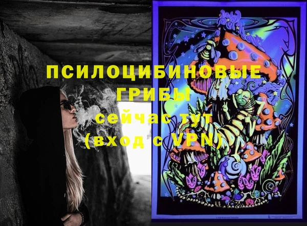 дмт Кулебаки