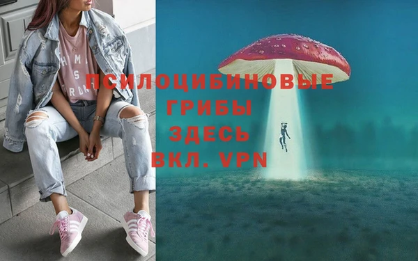 винт Красноперекопск