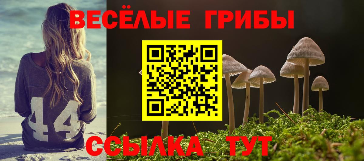 Псилоцибиновые грибы Psilocybine cubensis  Вход с VPN  Лесозаводск  Псилоцибиновые грибы Magic Shrooms 